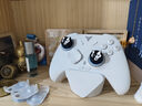 飞智冰原狼4多模版无线游戏手柄 类xbox 力调节摇杆双切扳机 switch电脑PC手机steam体感NS 仁王3 实拍图