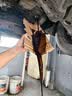 嘉实多（Castrol）磁护智E版双次小保养卡 5W-30 SP 4L 含机油+机滤+工时 汽车保养 实拍图
