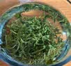 京东京造【2026新茶】碧螺春毛尖组合明前嫩芽绿茶自营茶叶礼盒高品质送礼 实拍图