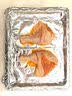 小熊驾到 新奥尔良腌料35g*6袋儿童烤肉炸鸡烤鸡翅烧烤料腌料粉调味料 实拍图