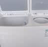 美的（Midea）半自动双桶波轮洗衣机家用大容量12公斤洗+7kg脱水老人简易操作品质电机小巧不占地租房宿舍必选 12公斤大容量 双缸 实拍图