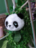 BURDO豆包AI智能对话机器人熊猫猫咪玩偶毛绒玩具儿童早教女孩生日礼物 AI熊猫挂件【大模型永久免费更新】 国内外通用【WIFI版】多种语言+情绪表达 实拍图