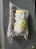 毛绒仿真猫会叫睡猫汽车摆件竹炭垫子猫净化空气家居装饰礼品玩偶 款式20 晒单实拍图