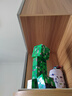 乐高（LEGO）积木我的世界21276 苦力怕男女孩儿童玩具生日礼物家居装饰摆件 实拍图