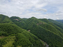 【福利，单用户最多拍2】一次性毛巾旅行压缩毛巾旅游 绵柔毛巾30*40 1包装 实拍图