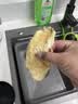 京东京造深海鳕鱼片460g海味下酒小鱼干鱼零食礼包烤鱼片孕妇海鲜青岛特产 实拍图