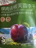 京东京造厚肉去核芙蓉李干248g无核胭脂李子干永泰厚肉零食果干 实拍图
