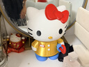 拓竹A1 3D打印机儿童礼物桌面家用FDM全自动调平高速3d打印机器【大陆版】 实拍图