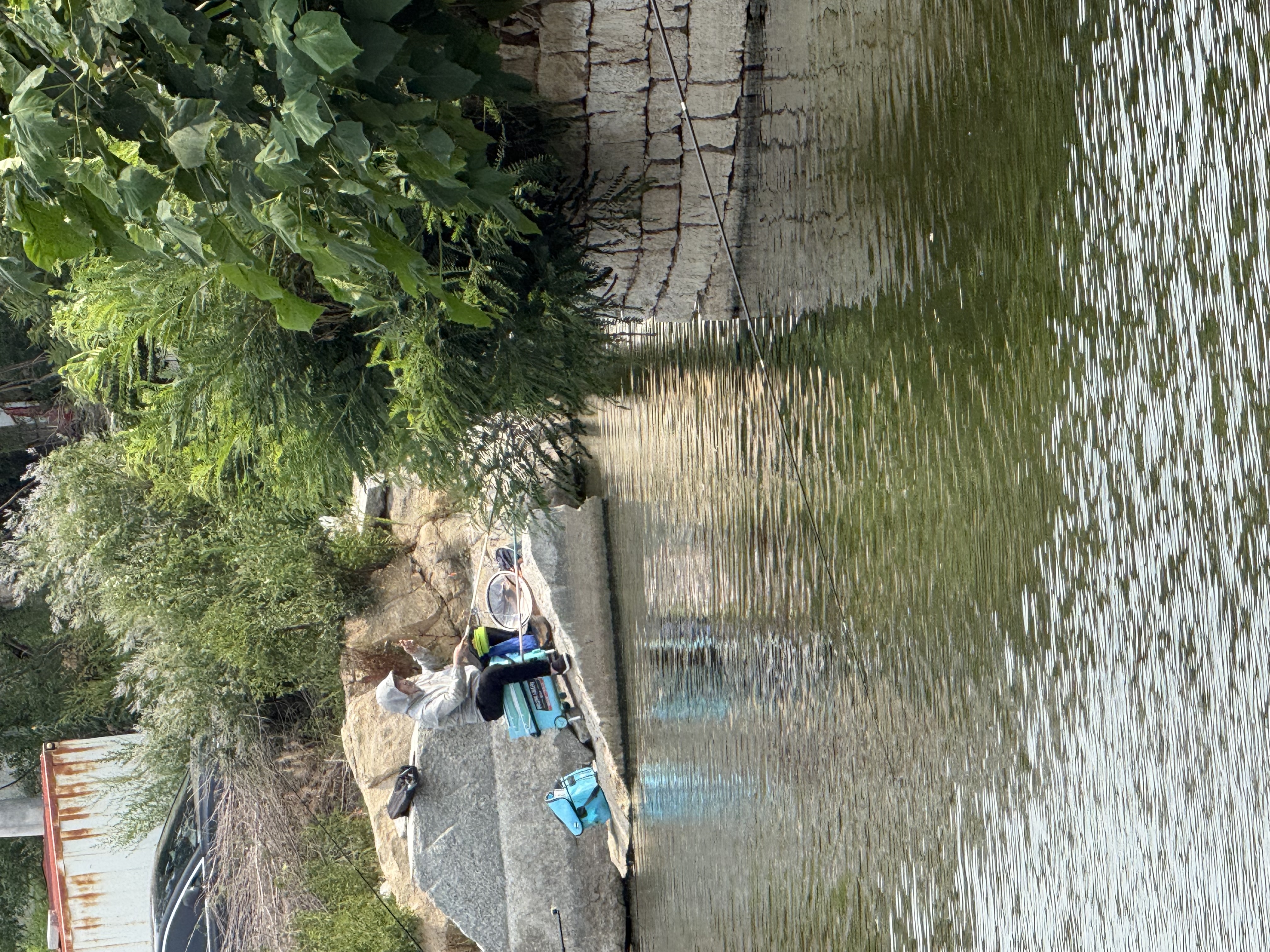 船长漂船长浮漂芦魂K10芦苇漂高灵敏荧光醒目鱼漂抗走水黑坑行程鲤鱼漂 实拍图