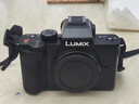 松下（Panasonic）Lumix G100D M43画幅相机 M43卡口 微单相机 无反数码相机 G100D+【12-60mm白盒】单镜套装 实拍图