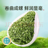 乐品乐茶特级茶叶碧螺春绿茶茉莉花茶2026明前春茶嫩芽新茶自己喝共500g 实拍图