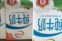 蒙牛全脂纯牛奶250ml*21盒 世界杯定制装送礼礼盒 实拍图