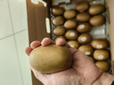佳沛（zespri）新西兰阳光金奇异果 8个装 特大果单果重约124-146g 水果猕猴桃 实拍图