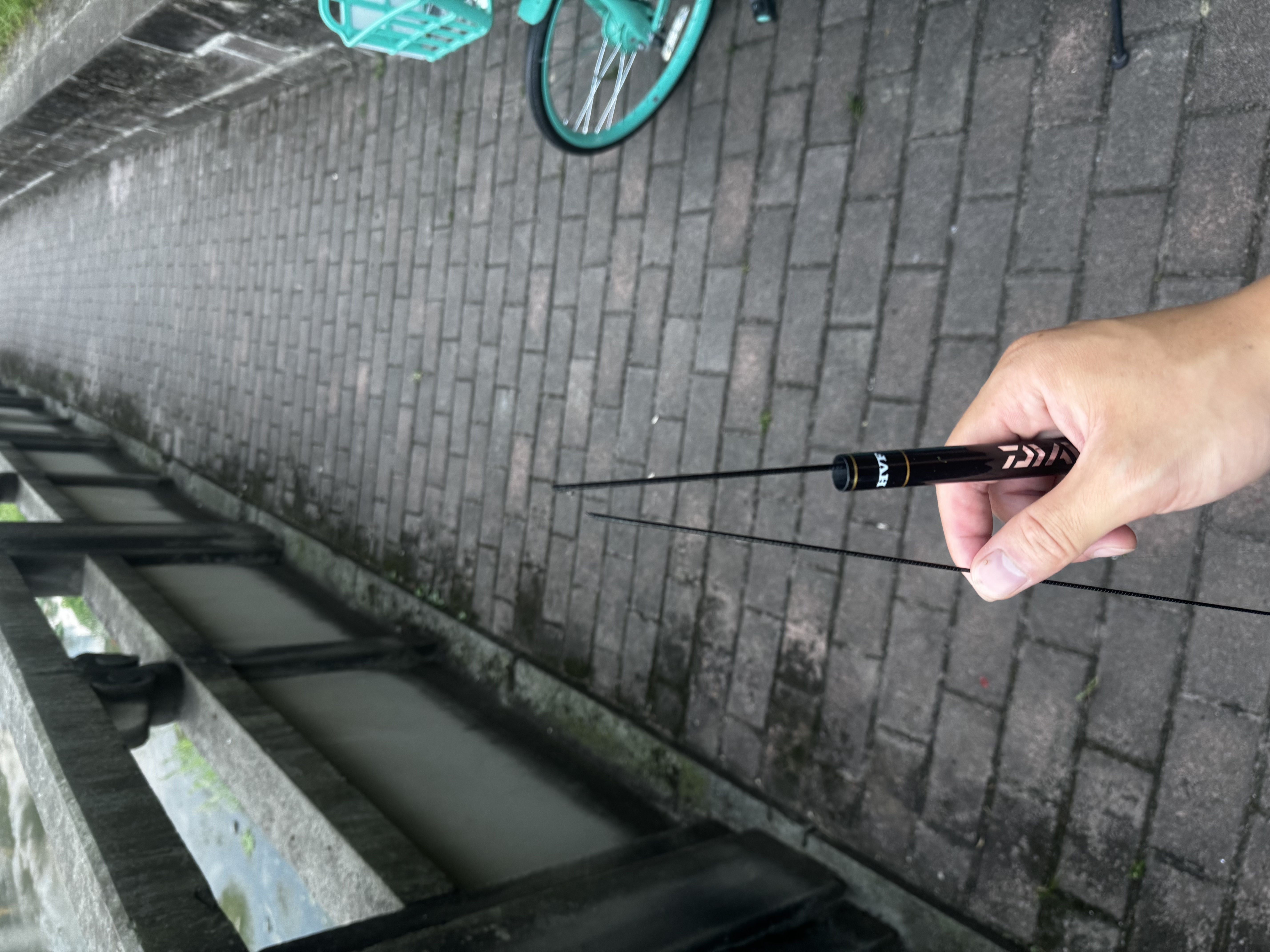 达亿瓦（DAIWA） 新款 一击樱 综合休闲手杆台钓竿轻碳素进口钓鱼竿钓杆 垂钓装备 F-3.9米 实拍图