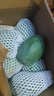 京鲜生四川凯特 净重8斤装 单果400g+ 新鲜芒果水果 源头直发包邮 实拍图