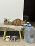 LEGENDSANDY蓝氏 全价猫粮成猫幼猫生骨肉冻干粮 猎鸟乳鸽系列兔肉口味1.5kg 实拍图