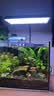 沃韦朗（VOONLINE）鱼缸灯水草灯LED全光谱草缸水族夹灯 【水草版】沃韦朗夹灯16W 实拍图