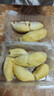 爱丽思（IRIS） 爱丽思空气循环扇桌面风扇节能电风扇空调扇台扇电扇iris小风扇 HE15(白色)-上下摆头 实拍图