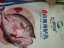 仙泉湖三去斑点尾鲈鱼1斤单条净膛后冷冻肉厚刺少海鲜水产生鲜食材 实拍图