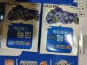 风行蓝莓风味牛奶饮品 200ml*24盒 整箱牛奶早餐奶礼盒装送礼 实拍图