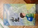 获奖儿童文学作家书系全套10册正版图书 小学生三四年级课外阅读必读书籍 语文老师推荐经典书单 五六年级上下册看的儿童文学读物书目追赶风车的男孩 雨街的猫王一梅全国优秀获奖作家童书  实拍图