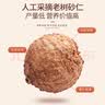 福东海 正宗春砂仁65克  精选大颗粒春沙仁干果 煲汤蒸肉磨粉阳春特产 实拍图