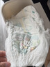 帮宝适夏季超薄超吸新清新帮拉拉裤XXL68超透气婴儿纸尿裤 实拍图