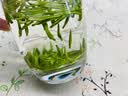 凯卓茶叶绿茶毛尖茶2026新茶明前特级信阳浓香型嫩芽送礼茶叶礼盒500g 实拍图