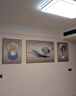 诗六艺家饰客厅装饰画北欧现代简约沙发背景墙挂画三联画大气轻奢壁画晶瓷画 前程似锦（铝合金外框） 镶钻画左右50*70+中间100*70亮面 实拍图