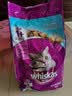 伟嘉成猫猫粮3.6kg海洋鱼味布偶夹心粮【原料透明】 实拍图