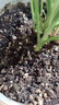 德沃多16L植物营养土通用养花土种菜有机土壤多肉盆栽种植土椰糠 实拍图