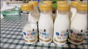 每日鲜语鲜牛奶4.0g蛋白质 211ml*6 家庭必备  巴氏杀菌乳 低温奶 实拍图
