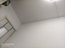 北极绒4条装儿童内裤女童发育期纯棉女孩学生10A抑菌平角短裤宝宝中大童 实拍图