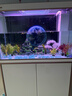 森森（SUNSUN）大型鱼缸底过滤水族箱客厅家用落地玻璃生态金鱼缸 【实时温显+灯控】珍珠白 1米长35cm宽 实拍图