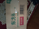 农夫山泉东方树叶绿茶500ml*15瓶无糖茶饮料0糖0脂0卡整箱装饮品 实拍图