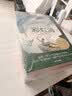 长青藤国际大奖小说分级阅读小学高年级精选6册了不起的男孩、结局由我、秘密写在群星间等四五六年级中小学生必读影响孩子一生的国际儿童文学奖经典名著课外阅读  实拍图