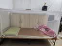 艾薇 学生蚊帐宿舍 围栏蚊帐单开门 0.9米 时空白【烤漆支架 下铺】 实拍图