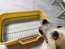 HELLOJOY狗厕所中型小型犬专用防踩屎便盆尿尿盆非不锈钢大小便神器狗砂盆 实拍图