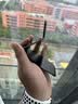 纽备丽提折叠镜子便携专用小巧小镜子化妆镜随身携带学生高清宿舍梳妆镜 实拍图