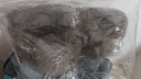 毛妈妈G2宠物理毛器猫狗剃毛器梳毛刷毛神器电推剪猫毛清理器吸尘器 G2四合一（无风剪版） 实拍图