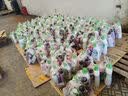 三生花百雀羚精油香氛控油蓬松清爽洗发露800ml去油洗发水洗头膏男女士 实拍图