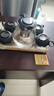 一壶四杯茶壶套装 大容量玻璃茶杯带滤网耐高温水壶茶具无底座 1000ML一壶+四杯+茶盘套装【带茶盘】 实拍图