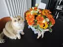 冉子花坊鲜花速递同城配送向日葵混搭抱抱桶玫瑰送女友爱人生日礼物真鲜花 抱抱桶混搭 实拍图