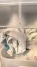 贝肽斯宝宝连体罩衣吃饭防水防脏婴儿爬行辅食围兜儿童围裙爬爬服 雪原 实拍图