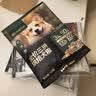 网易严选全价鲜萃烘焙犬粮鲜鸡肉果蔬高蛋白益肠 绝育法斗柯基 1.8kg*1袋 实拍图