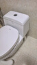 箭牌（ARROW）马桶家用直冲式坐便器大冲力座便坐厕1级水效AEB12601-1M 305坑距 实拍图