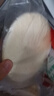俏侬 披萨饼底18cm 5片装630g/盒（8英寸烤盘适用）烤箱烘焙食材 实拍图