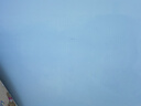三棵树漆墙面修补膏防霉抗菌白色墙面去污修复腻子粉膏墙皮脱落防水补墙膏 实拍图