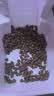 麦富迪猫粮 超肉粒冻干双拼成猫粮美毛护肠三文鱼10kg/20斤【宠物金选】 实拍图