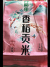 十月稻田 香稻贡米 东北大米 10斤（香米 粳米 5kg/公斤） 实拍图